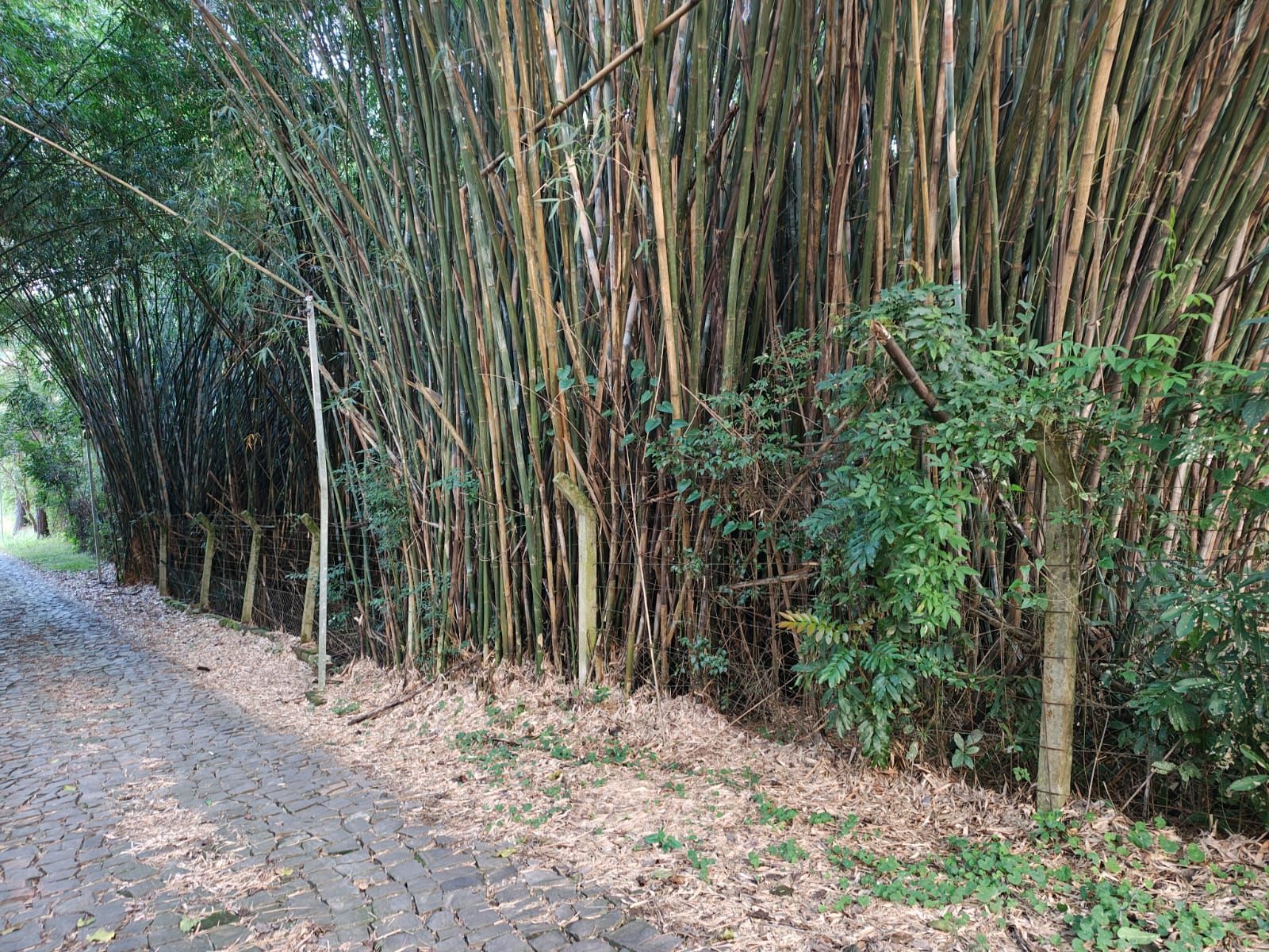 Terreno, 5 m² - Foto 12