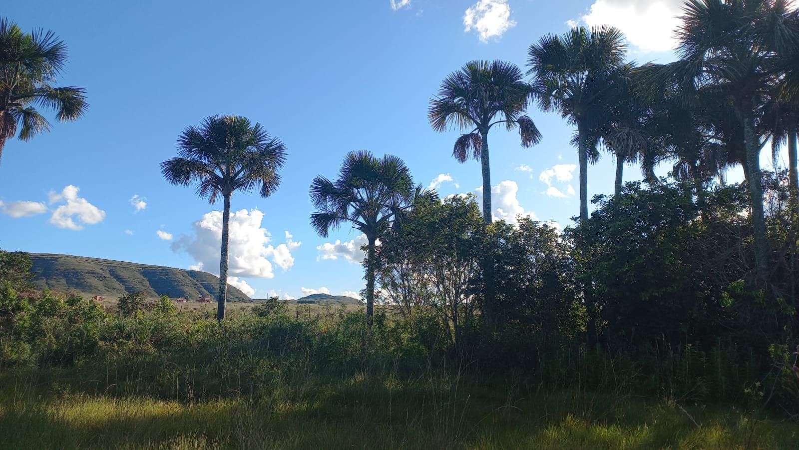 Fazenda à venda, 400000000m² - Foto 8