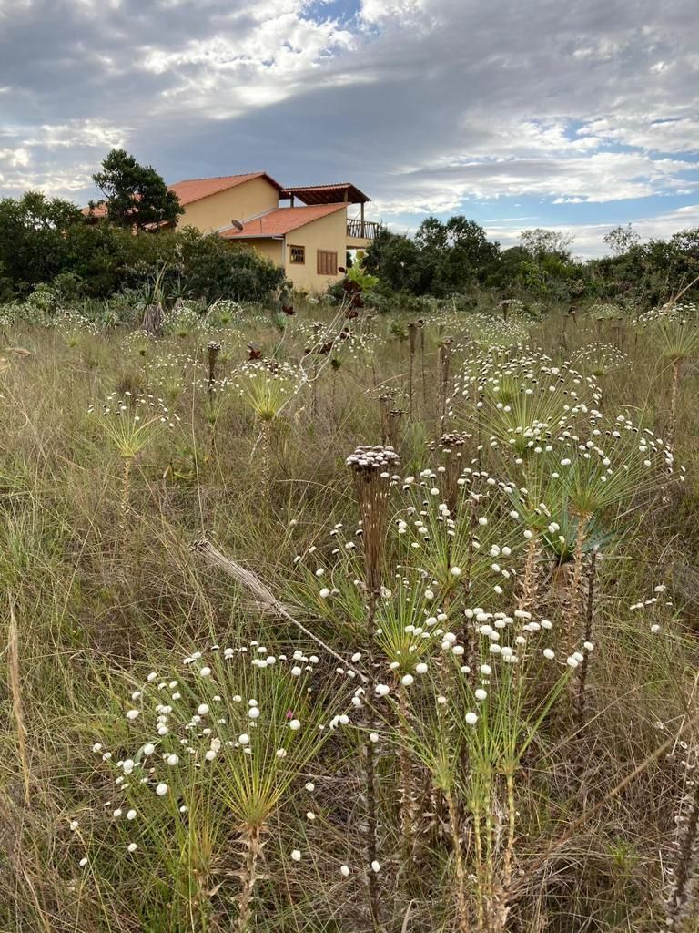 Casa à venda com 2 quartos, 1000m² - Foto 9