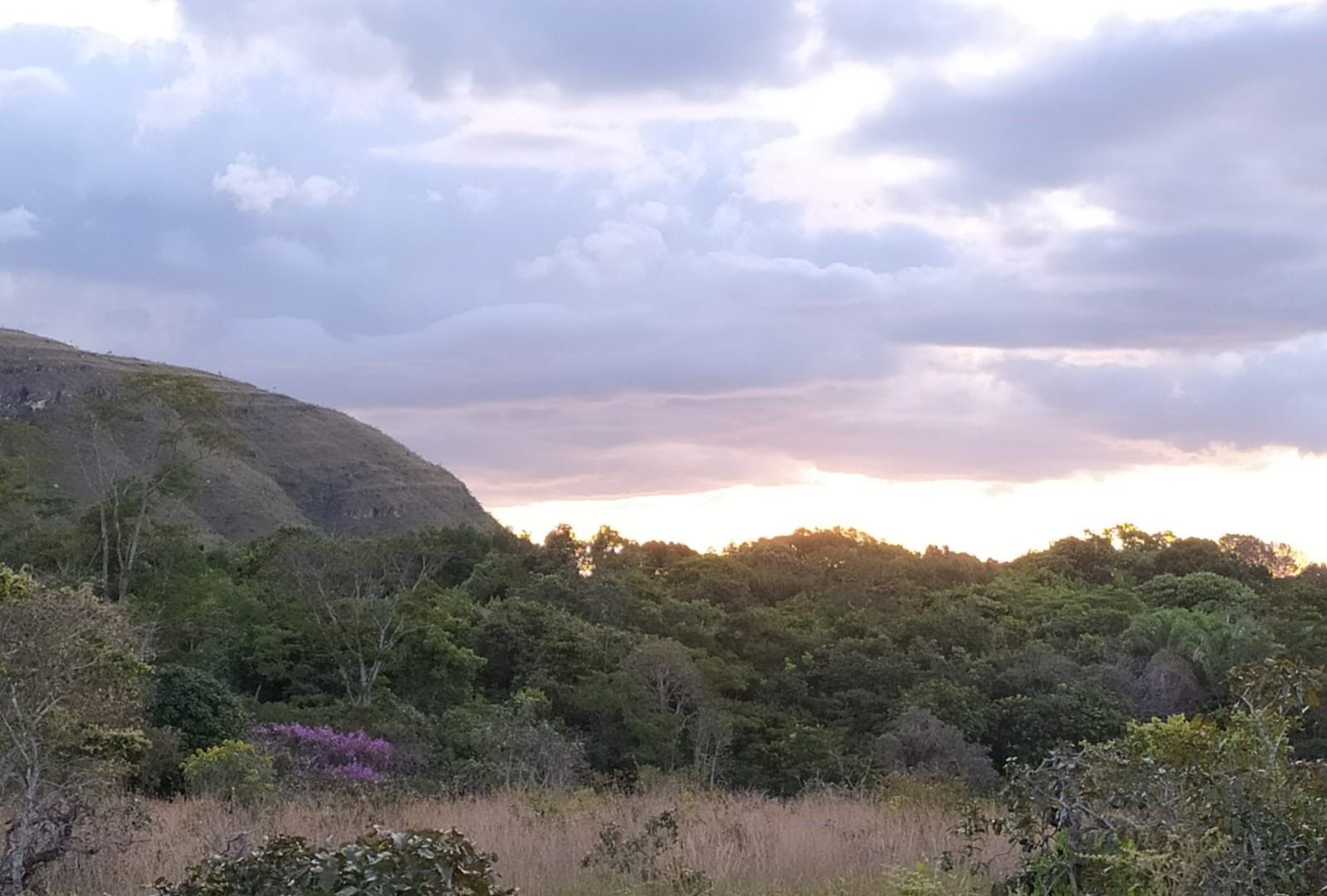 Fazenda à venda, 490000000m² - Foto 9