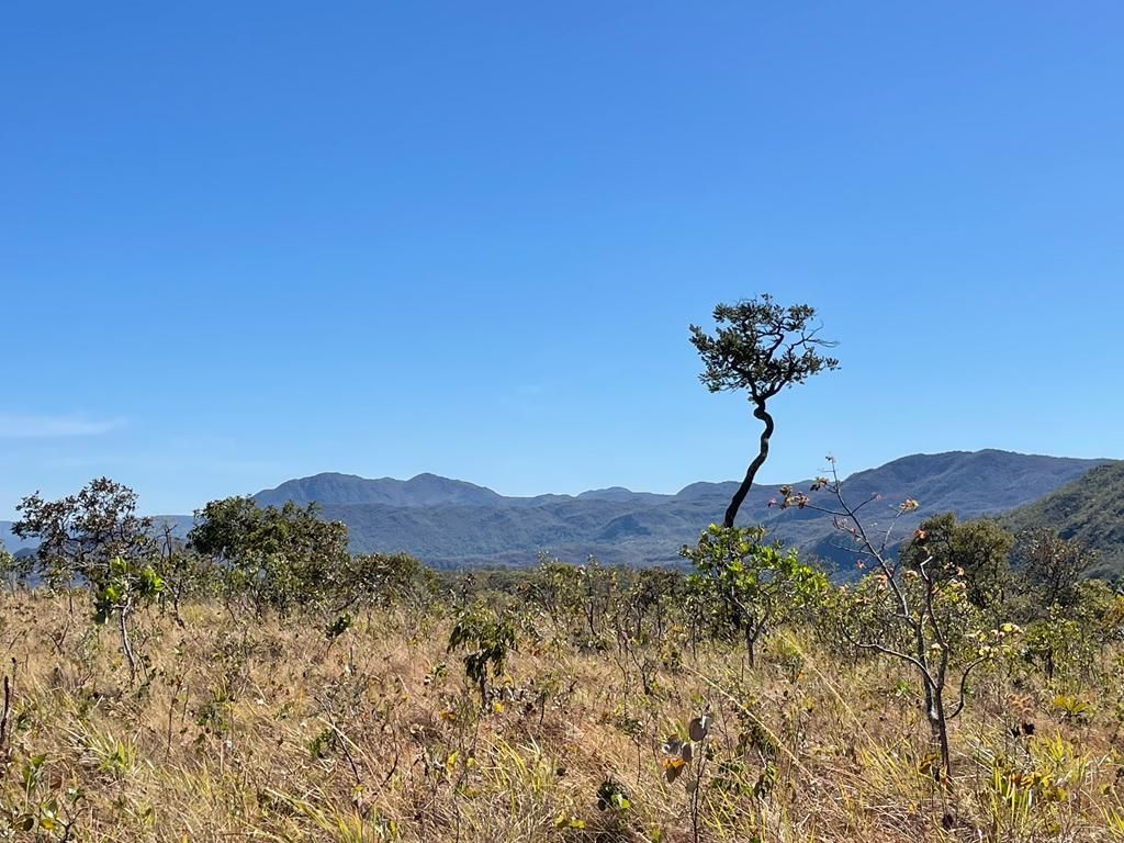 Fazenda à venda, 400000000m² - Foto 10