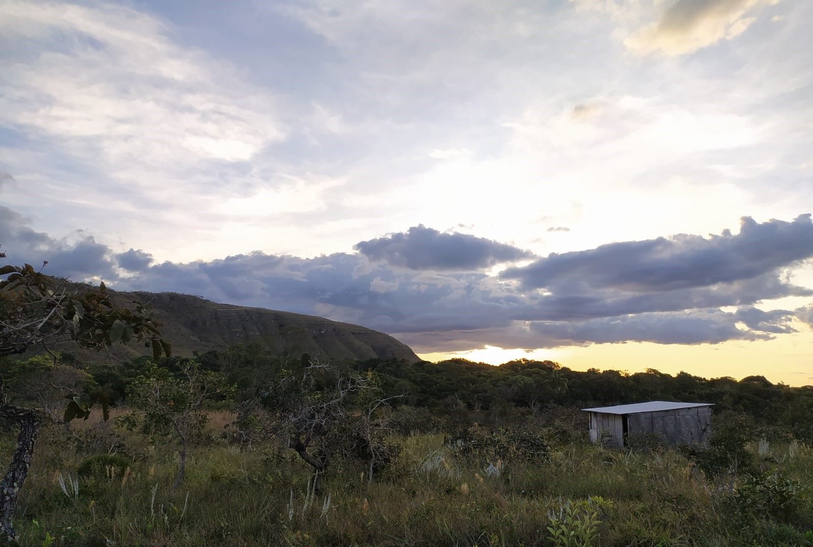 Fazenda à venda, 490000000m² - Foto 6