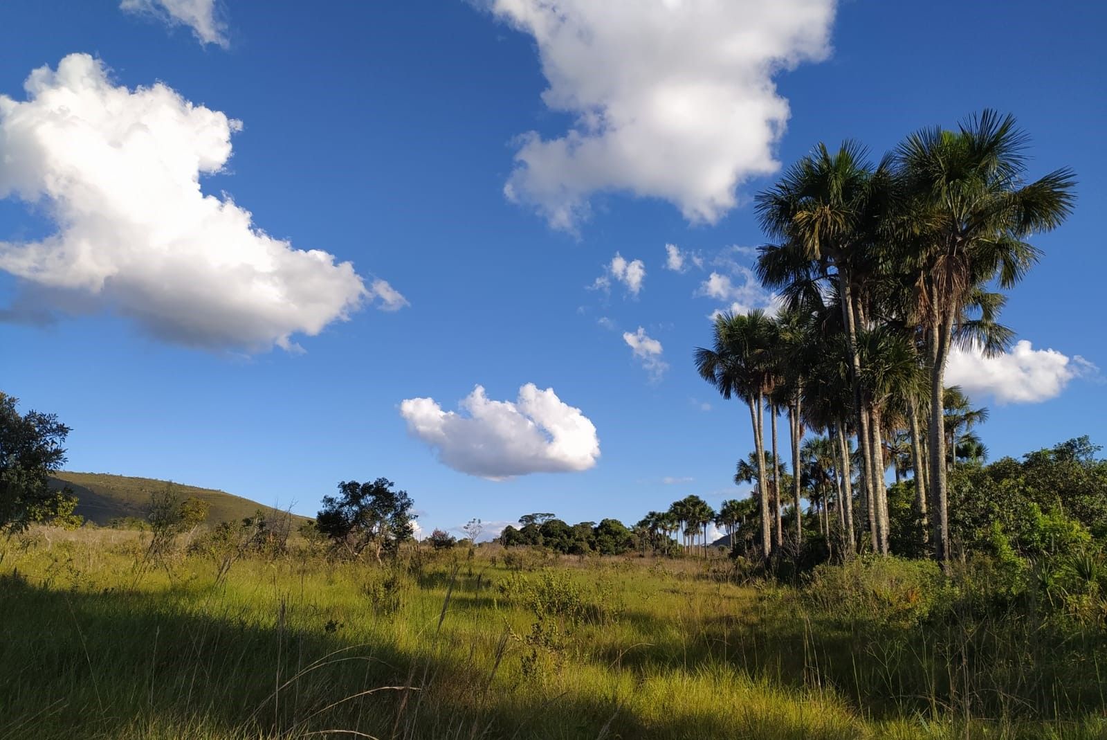 Fazenda à venda, 400000000m² - Foto 9