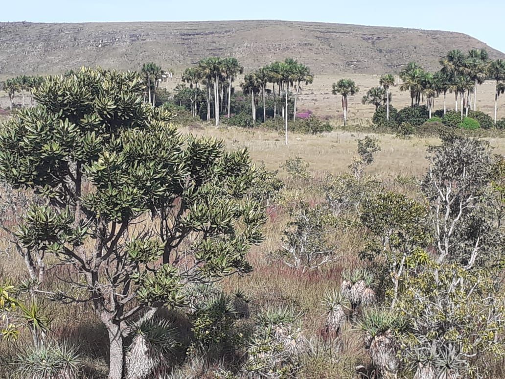 Fazenda à venda, 400000000m² - Foto 14