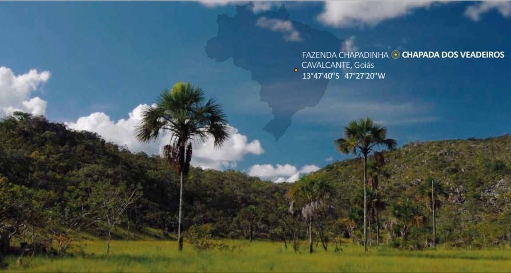 Fazenda à venda, 400000000m² - Foto 13