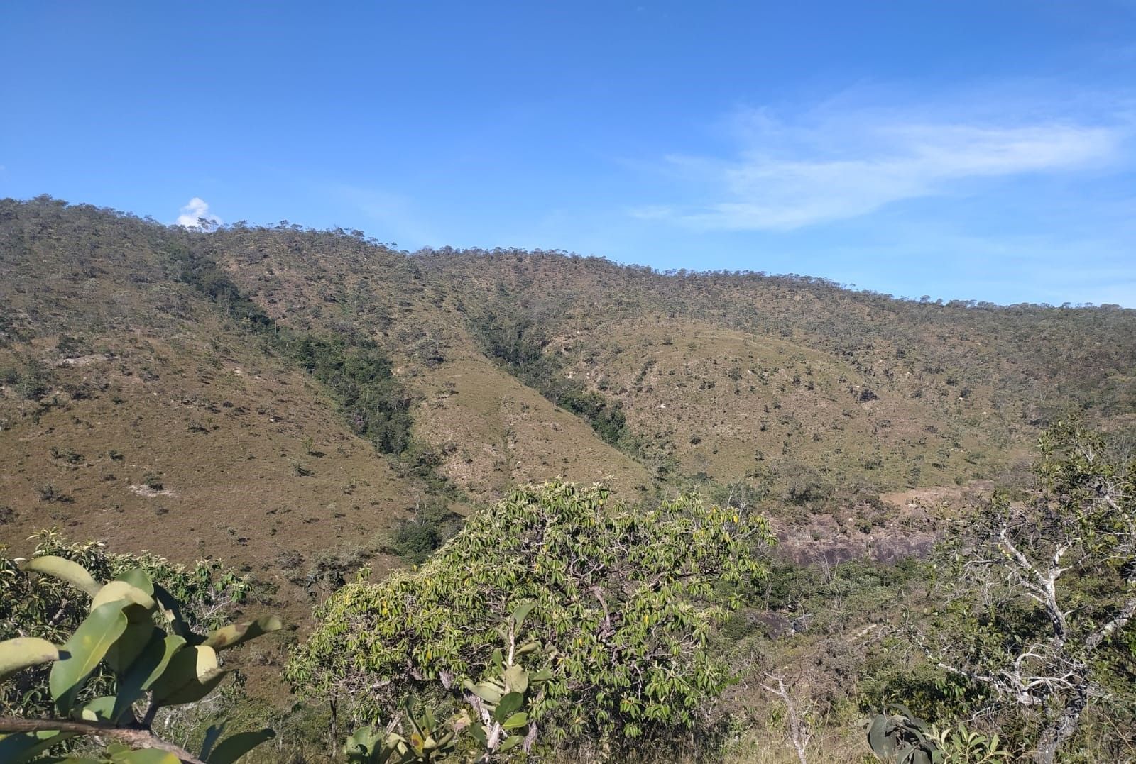 Terreno à venda, 1300m² - Foto 11