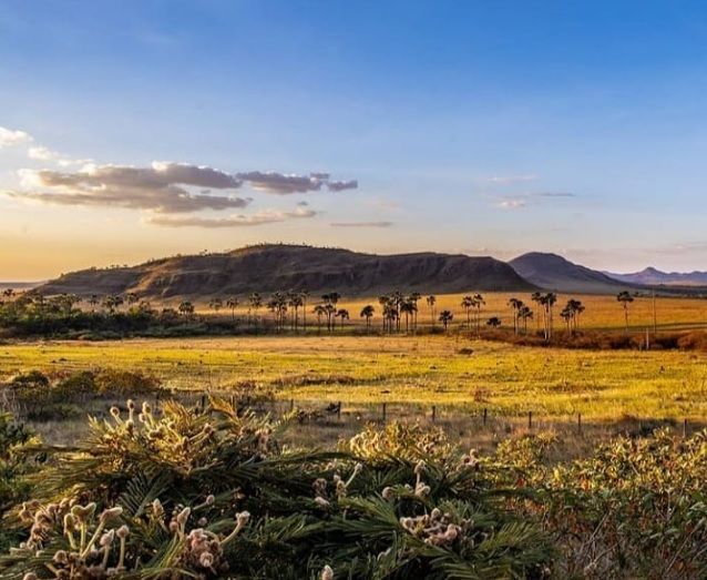 Fazenda à venda com 3 quartos, 1500000000m² - Foto 9