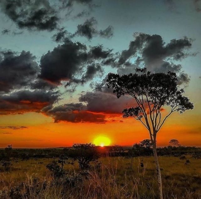 Fazenda à venda com 3 quartos, 1500000000m² - Foto 12