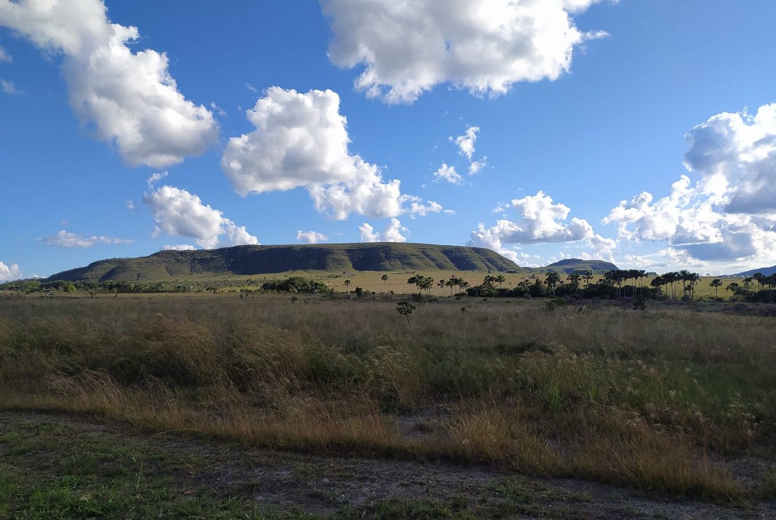 Fazenda à venda, 400000000m² - Foto 5