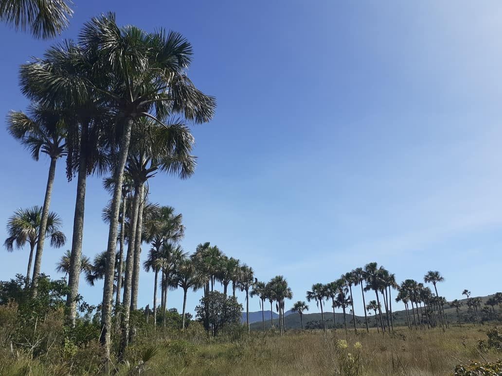 Fazenda à venda, 400000000m² - Foto 7