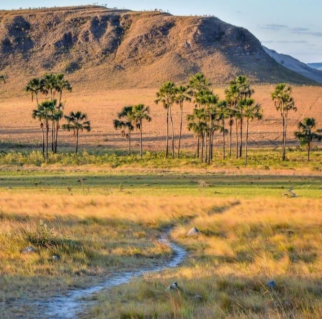 Fazenda à venda com 3 quartos, 1500000000m² - Foto 10