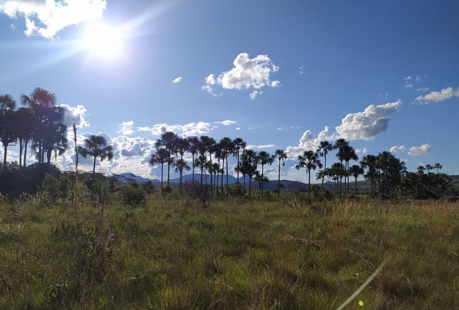 Fazenda à venda, 400000000m² - Foto 6