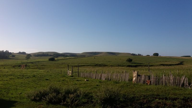 Chácara 40 Hectares em Alegrete