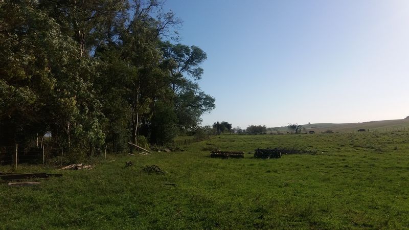 Chácara 40 Hectares em Alegrete