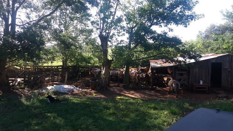 Chácara 40 Hectares em Alegrete