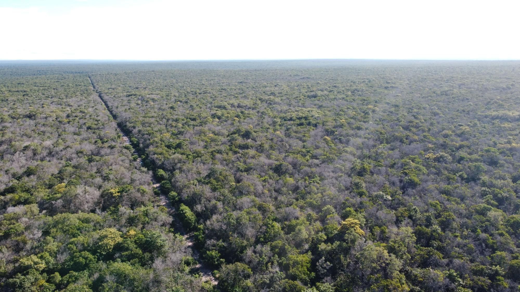 Fazenda à venda com 1 quarto, 19287m² - Foto 6