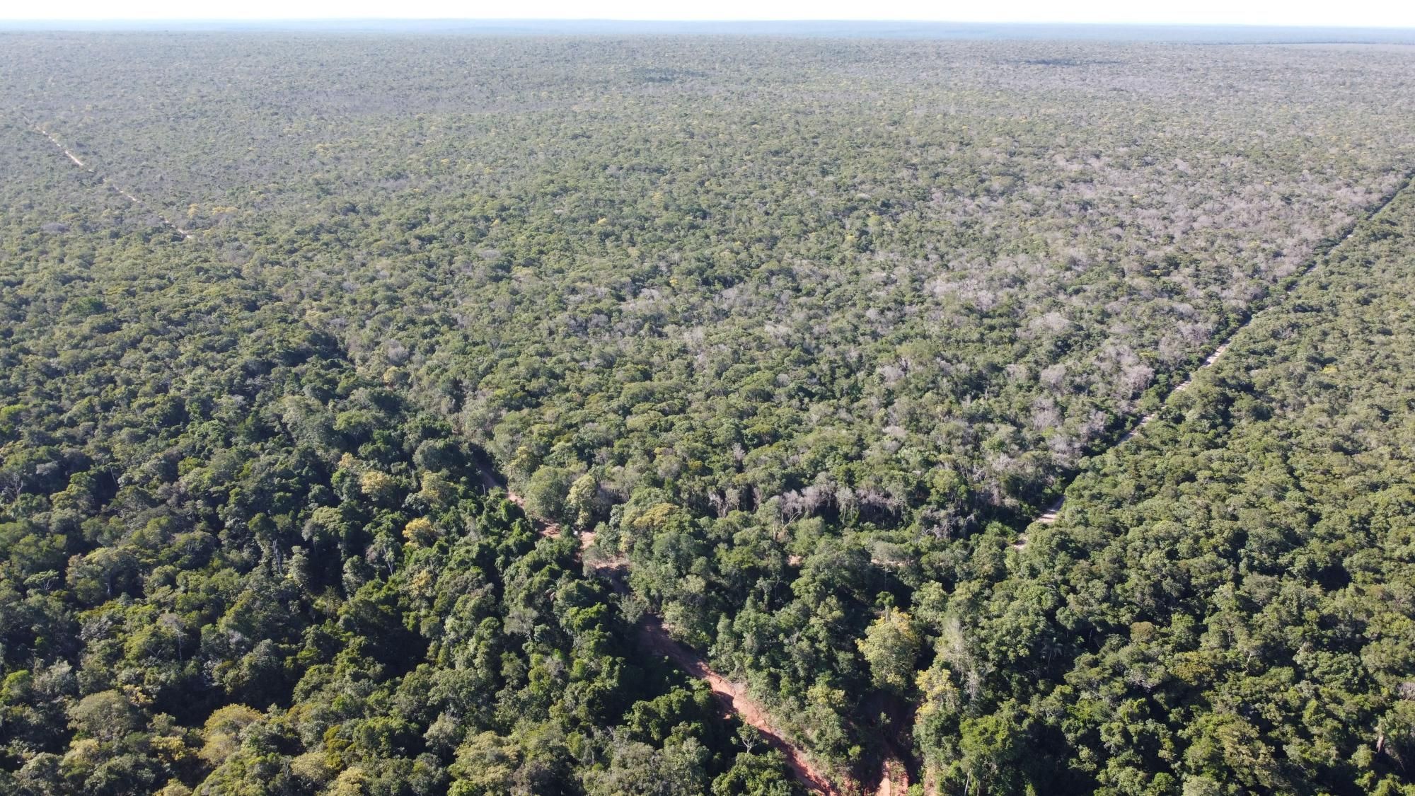 Fazenda à venda com 1 quarto, 19287m² - Foto 5