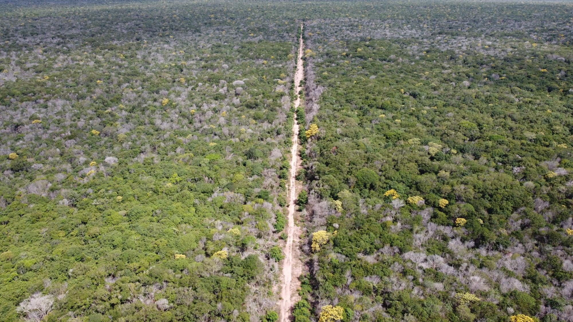 Fazenda-Sítio-Chácara, 2 hectares - Foto 4