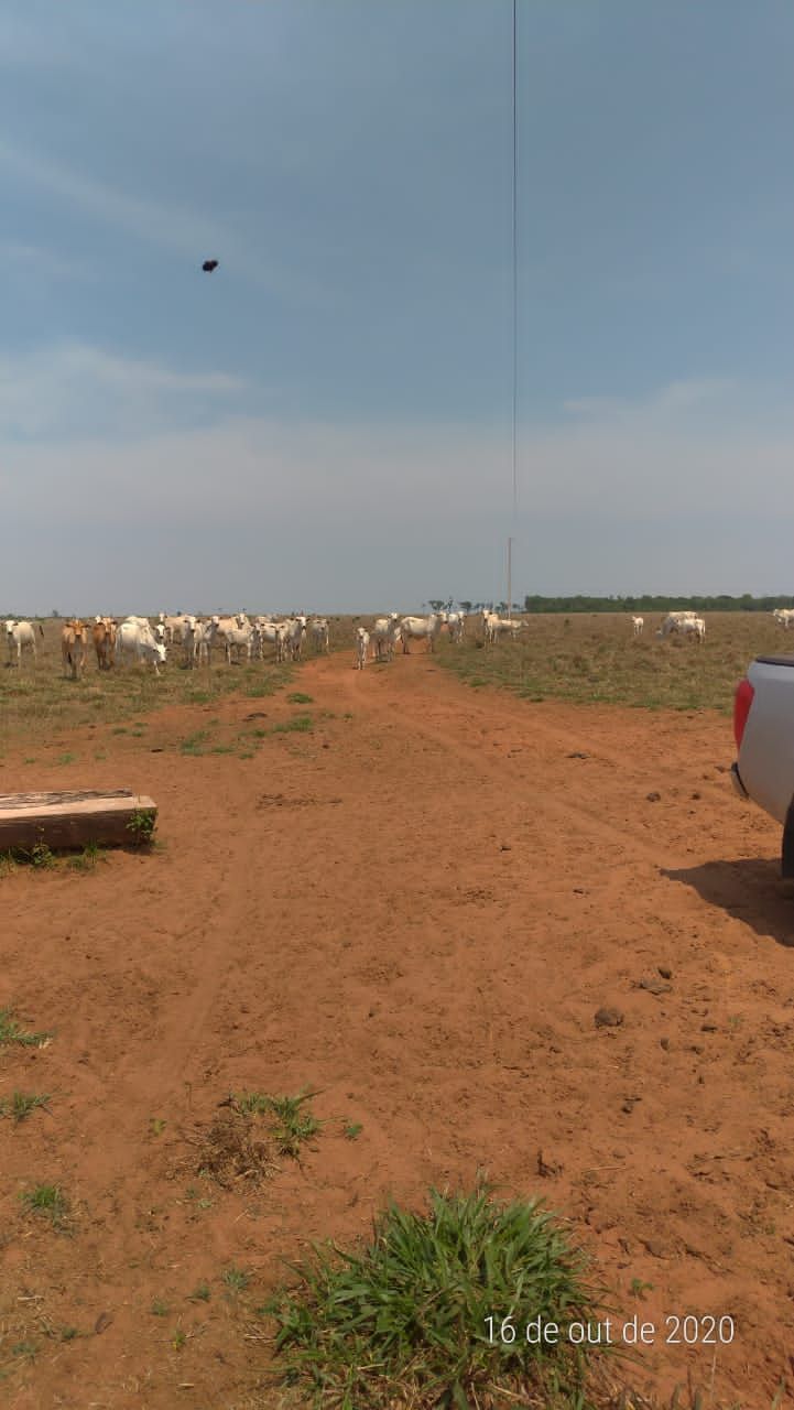 Fazenda, 4 hectares - Foto 12