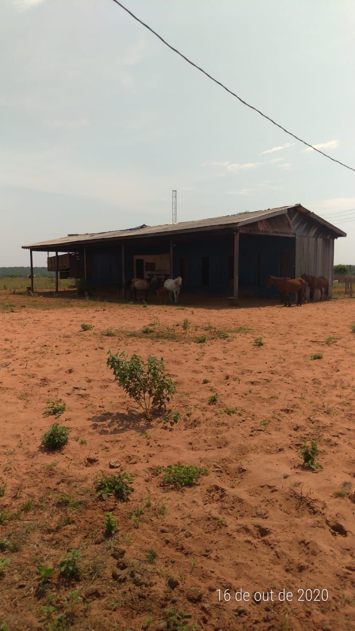 Fazenda à venda com 1 quarto, 36200m² - Foto 5