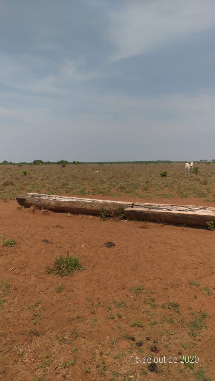 Fazenda à venda com 1 quarto, 36200m² - Foto 6