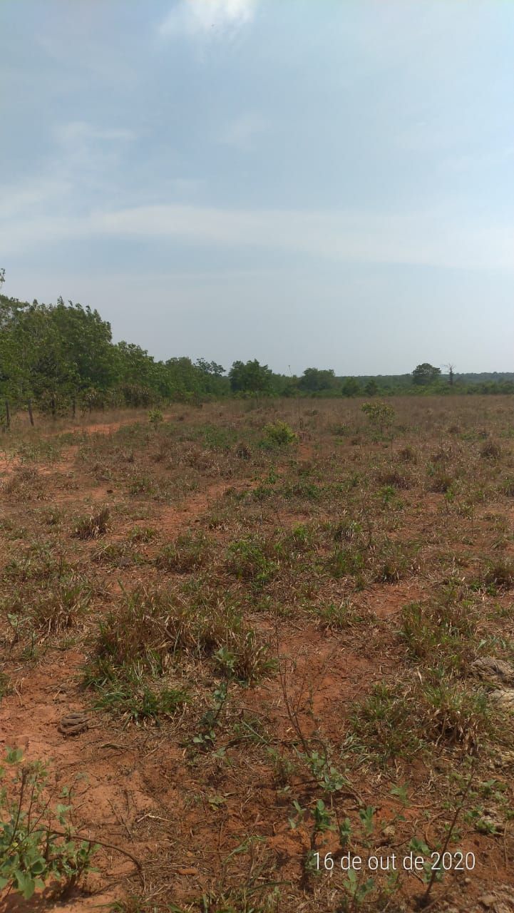 Fazenda, 4 hectares - Foto 7