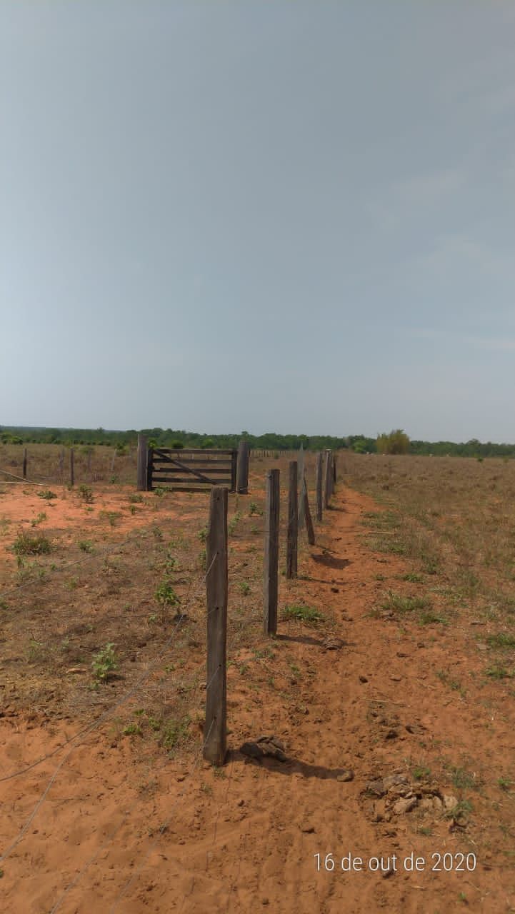 Fazenda, 4 hectares - Foto 11