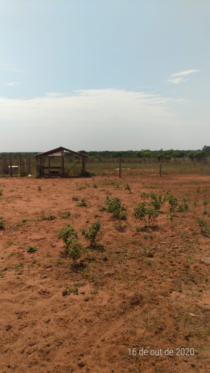 Fazenda, 4 hectares - Foto 10