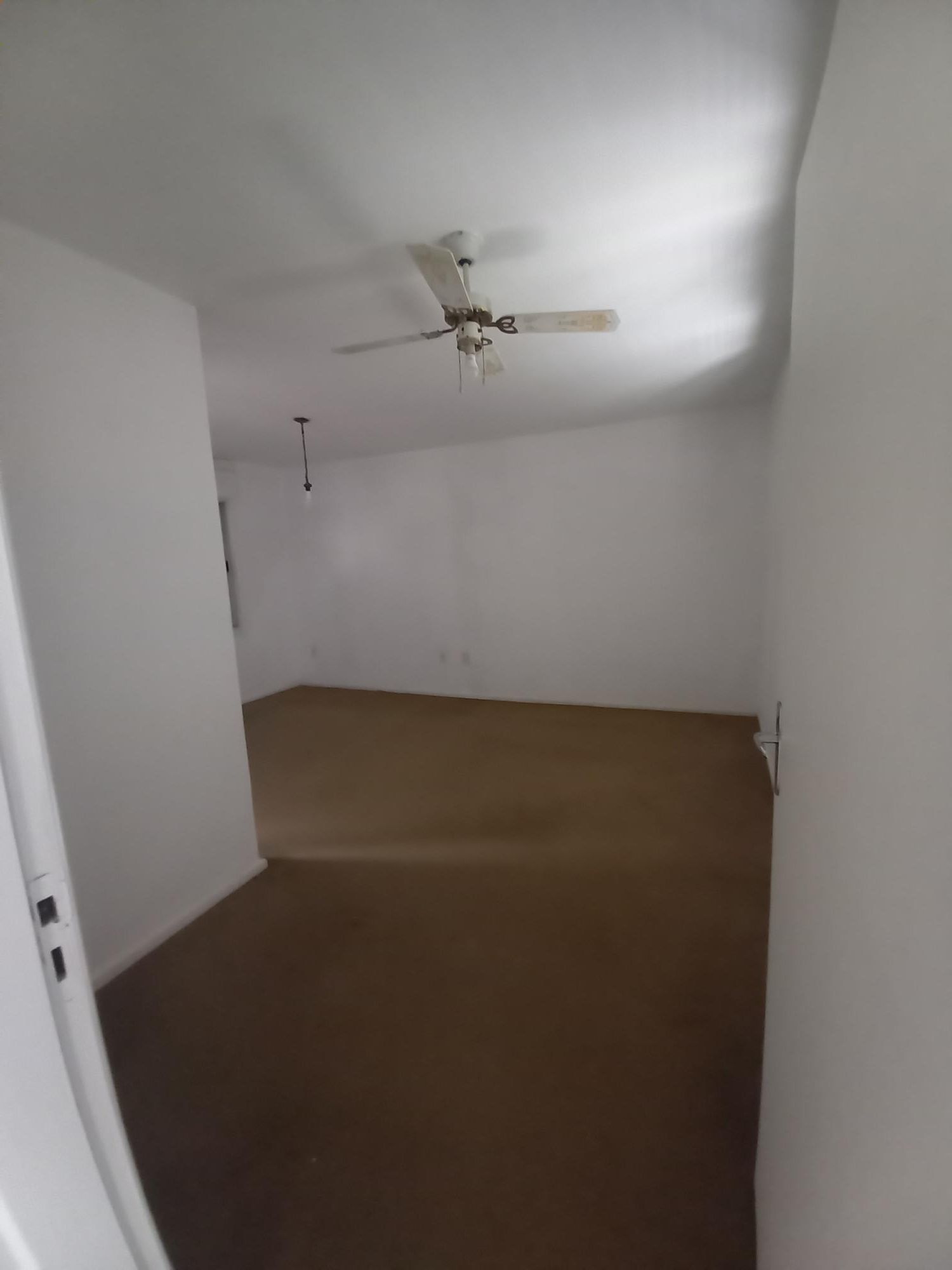 Casa, 3 quartos, 249 m² - Foto 2