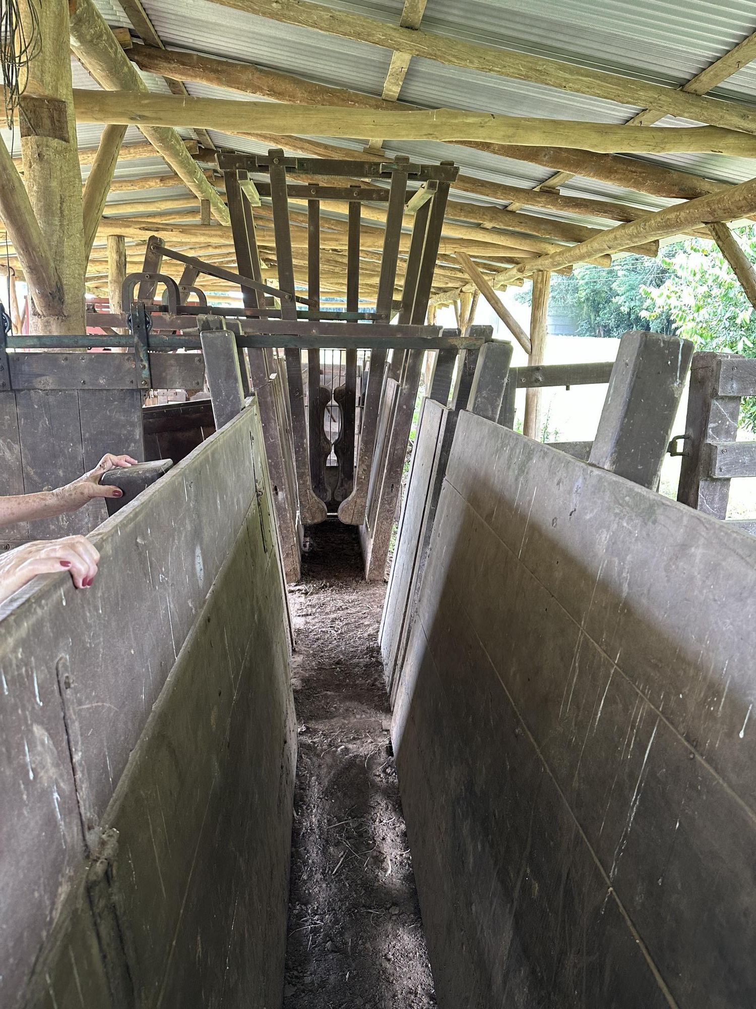 Fazenda à venda com 3 quartos, 500m² - Foto 20