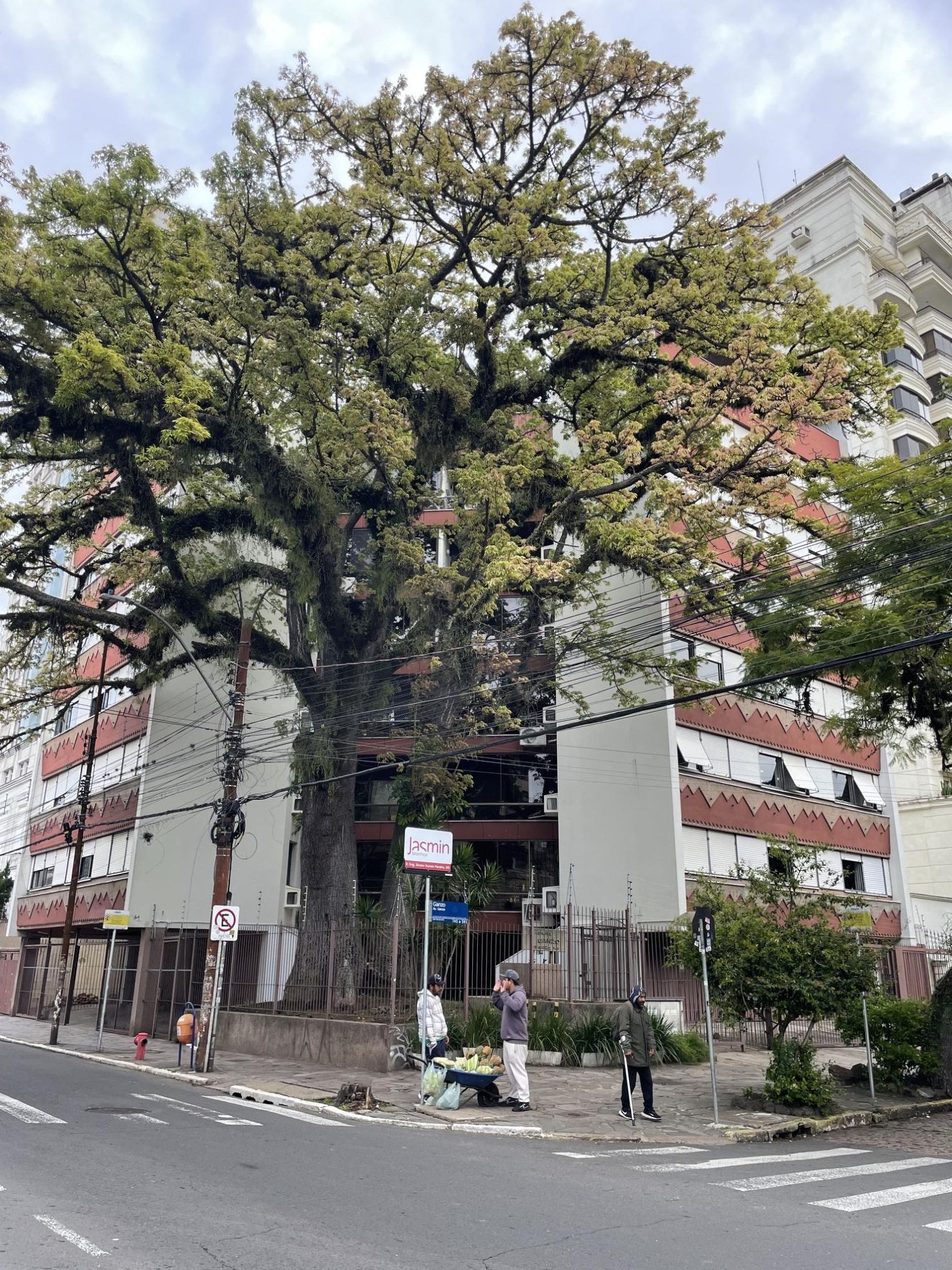 Apartamento no  bairro Menino Deus com 3 dormitórios com vaga e elevador — foto 2