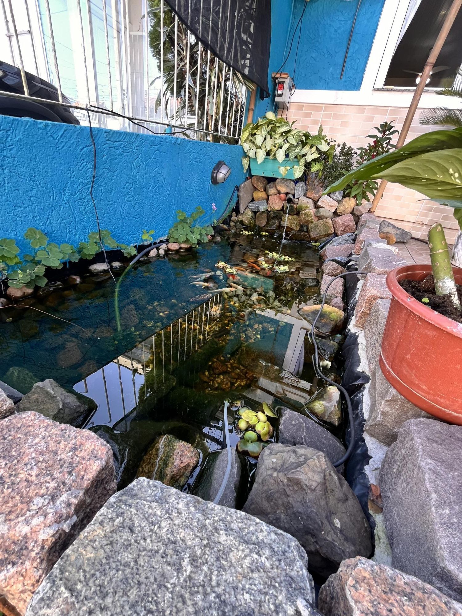 Casa à venda com 3 quartos, 52m² - Foto 4