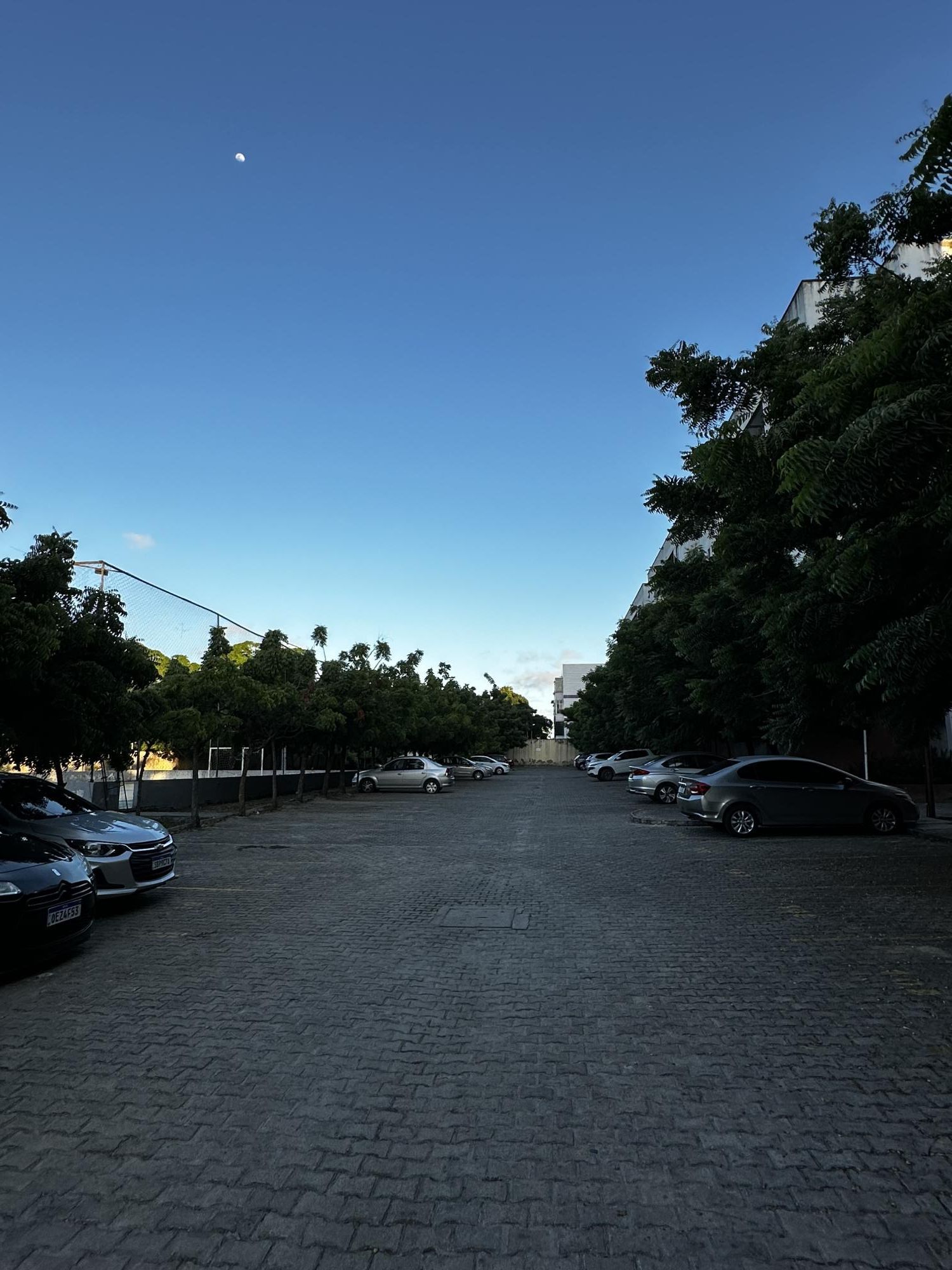 Apartamento à venda com 3 quartos, 56m² - Foto 19