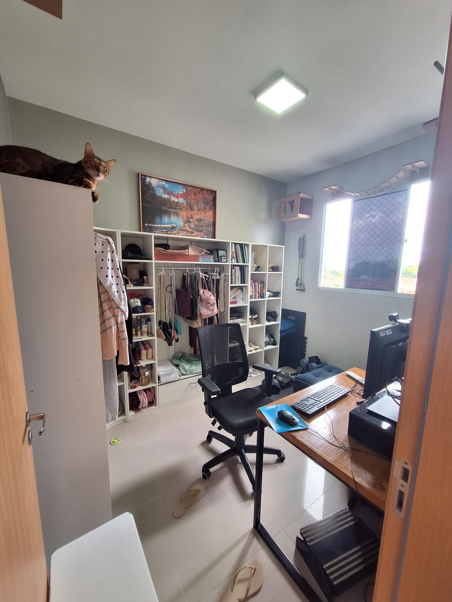 img127896918