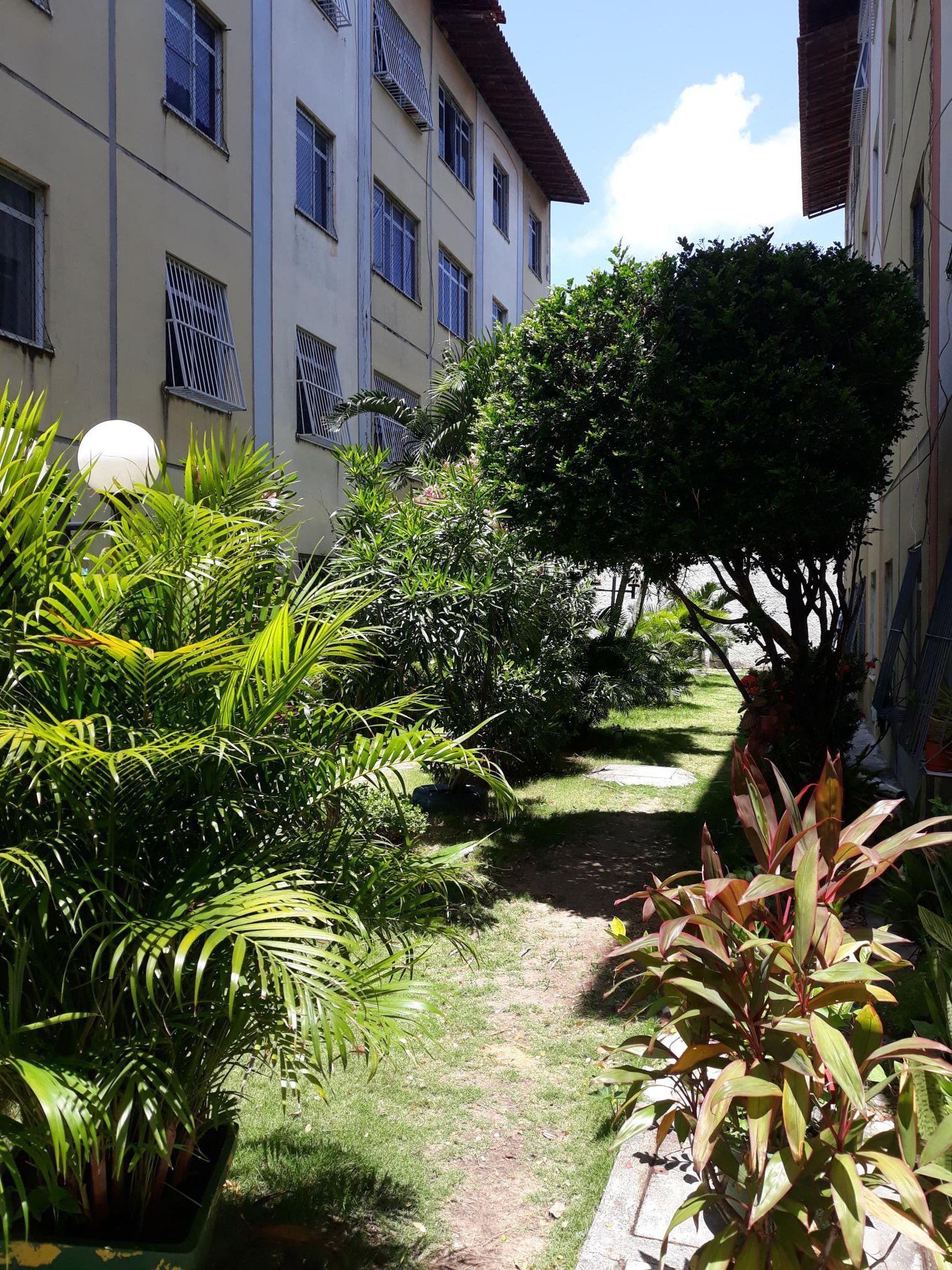 Apartamento, 2 quartos, 50 m² - Foto 3