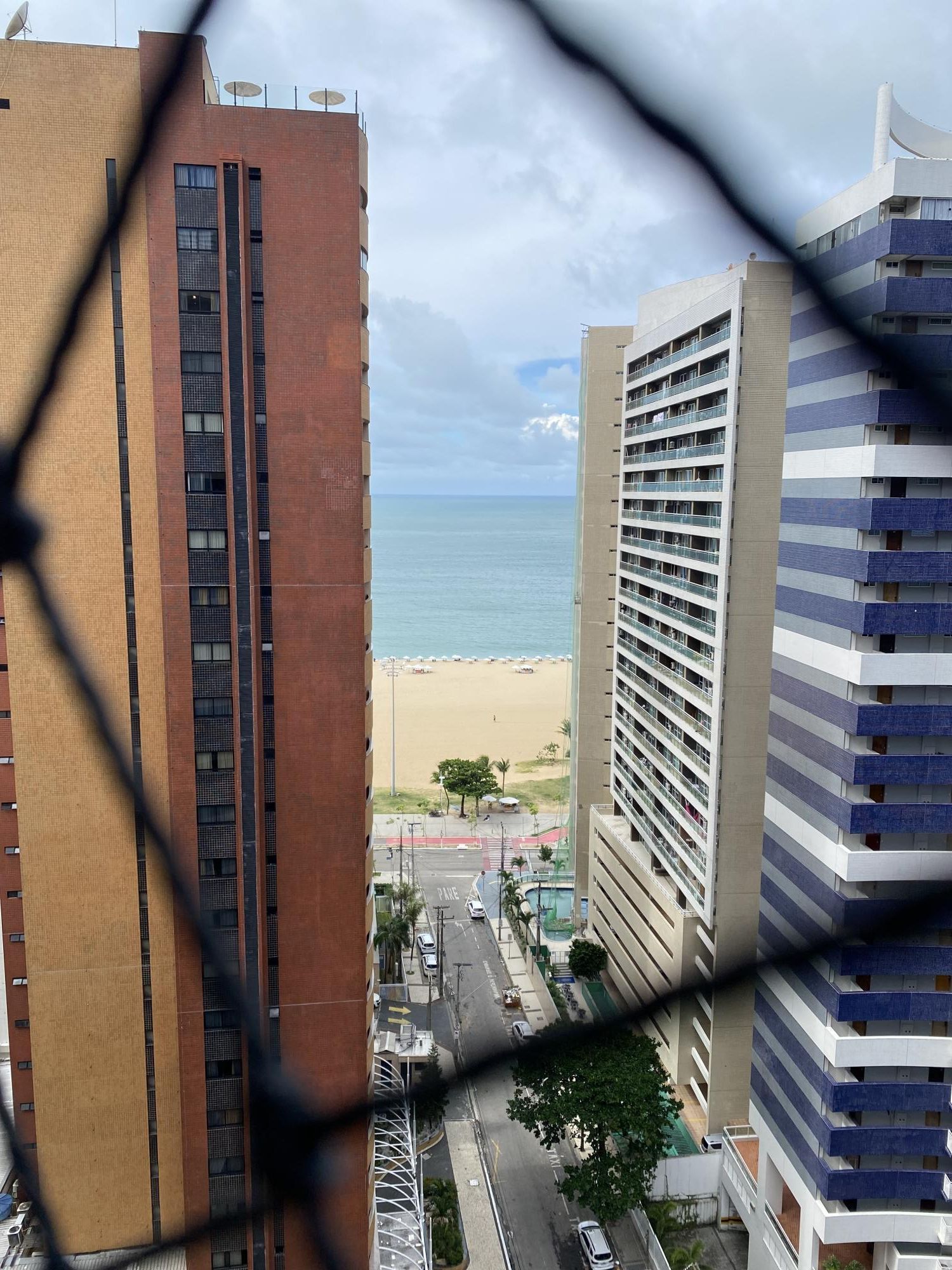 img137635967