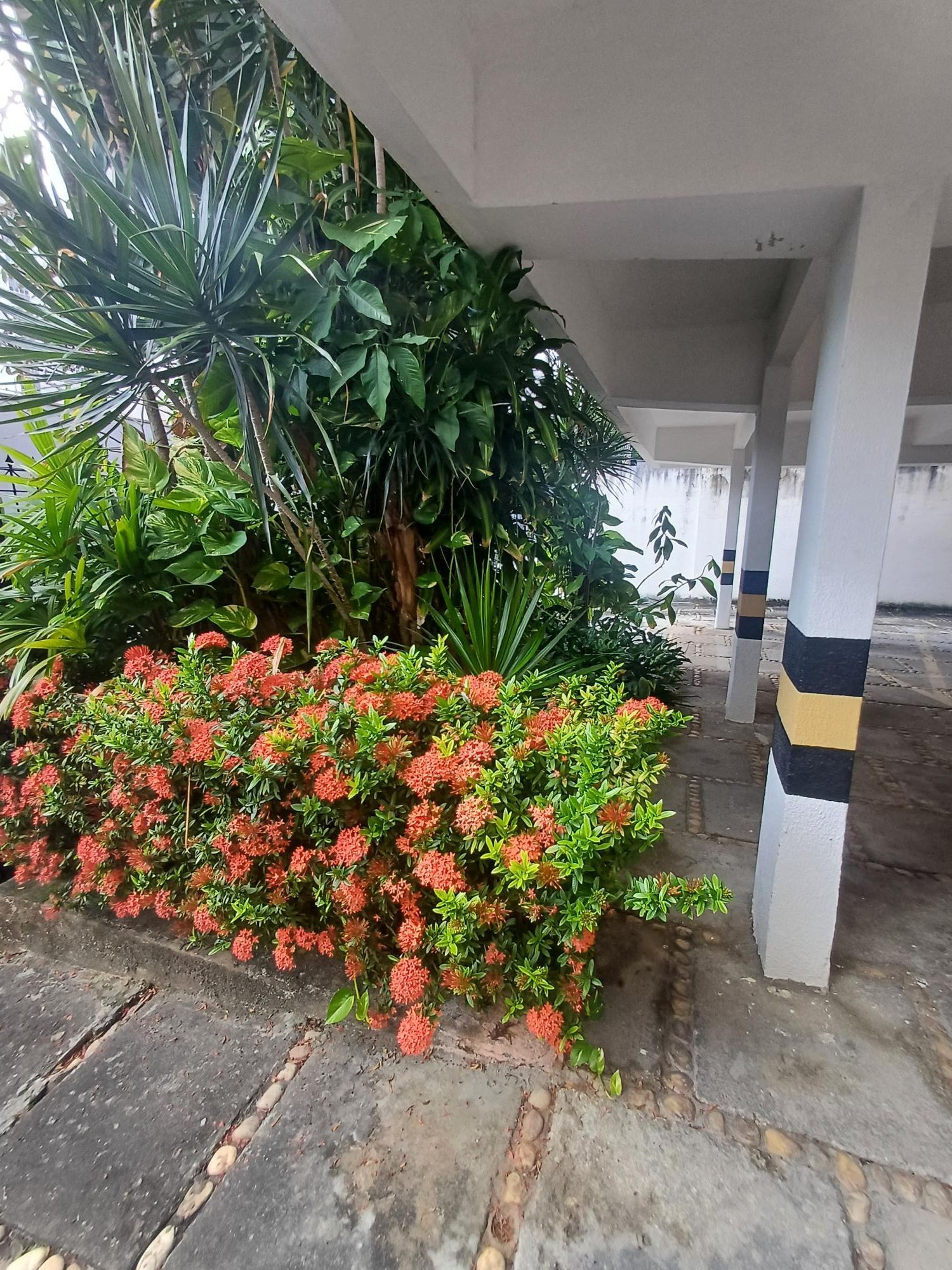 Apartamento, 3 quartos, 93 m² - Foto 36
