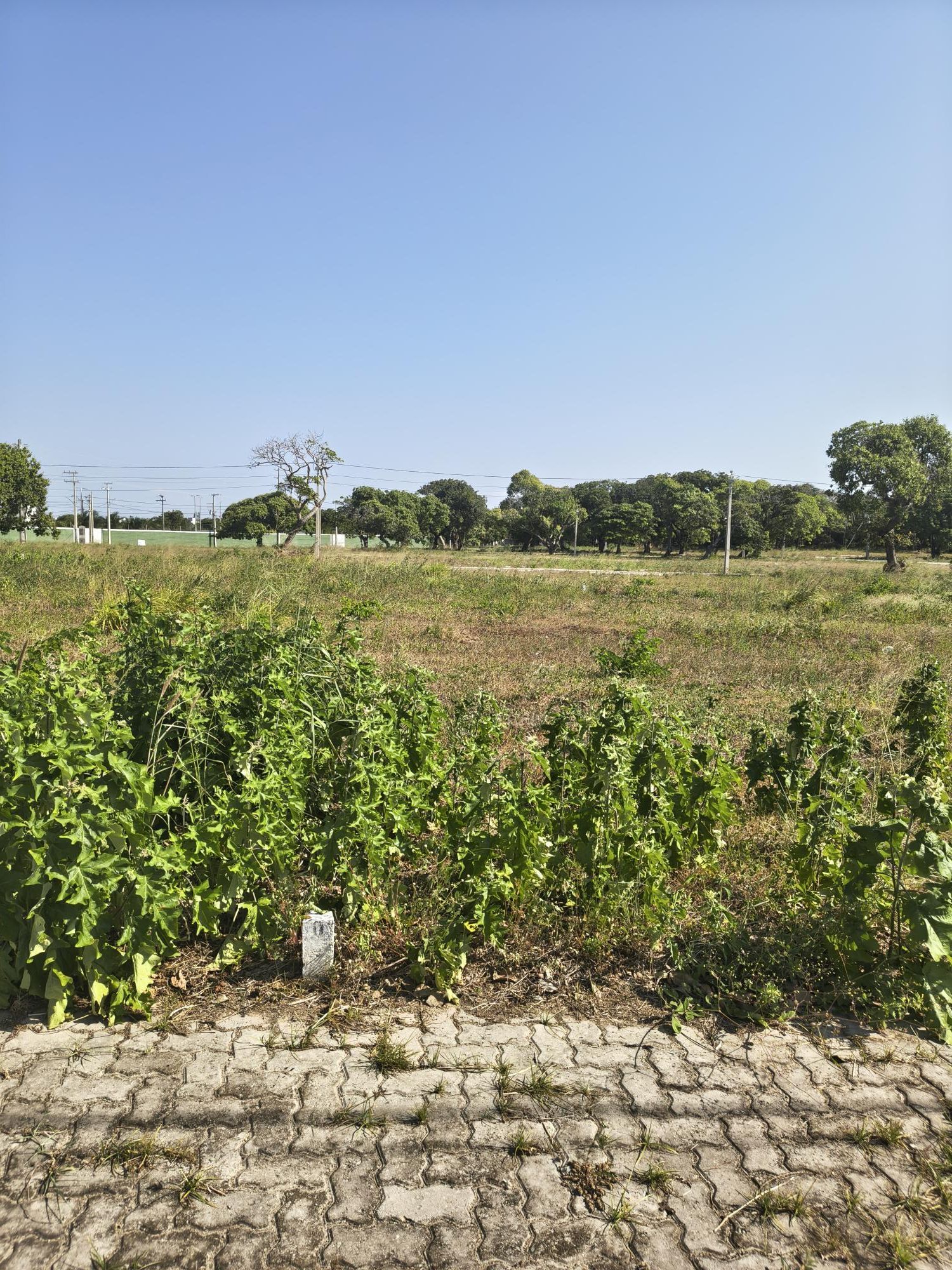 Terreno, 150 m² - Foto 6