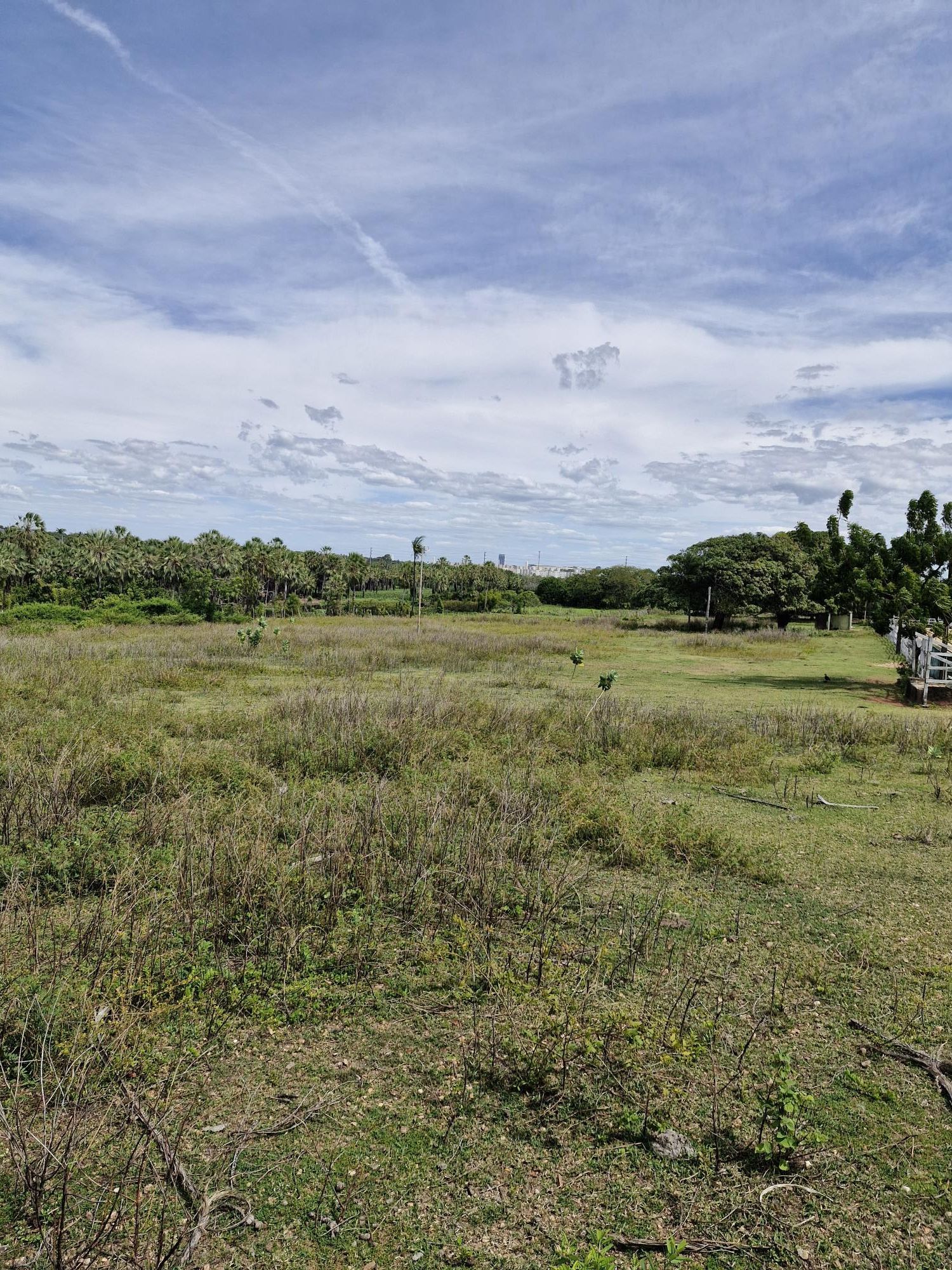 Lote/Terreno de 39000m² no bairro Lagoa Redonda, em Fortaleza | Eu Corretor