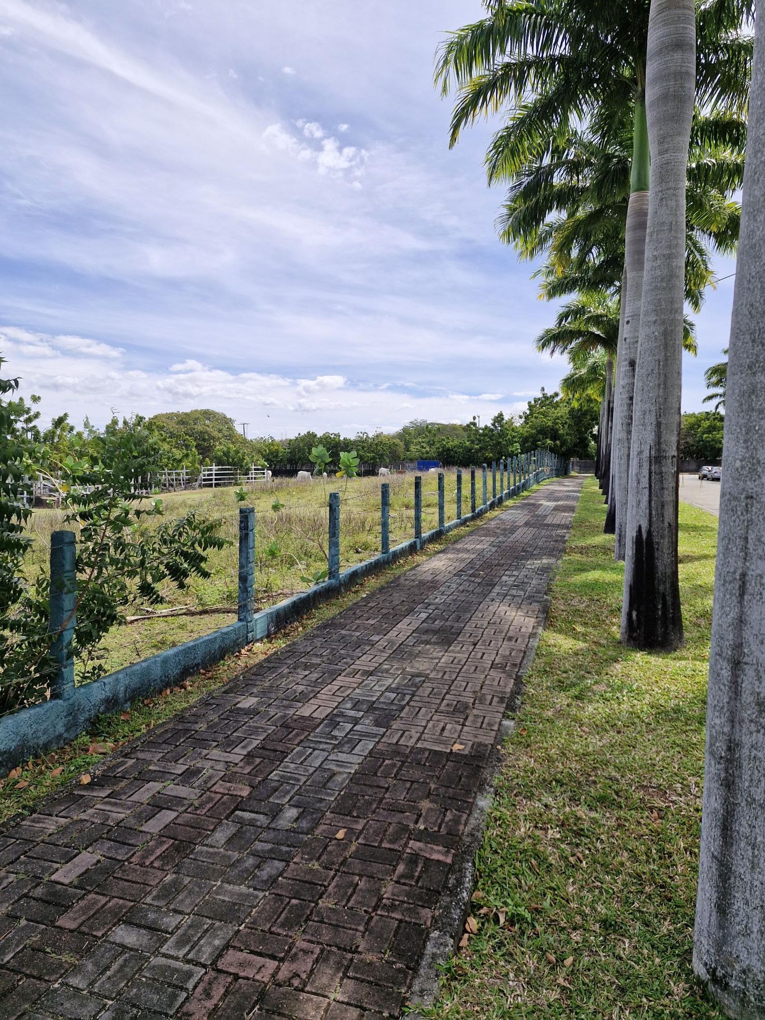 Lote/Terreno de 39000m² no bairro Lagoa Redonda, em Fortaleza | Eu Corretor