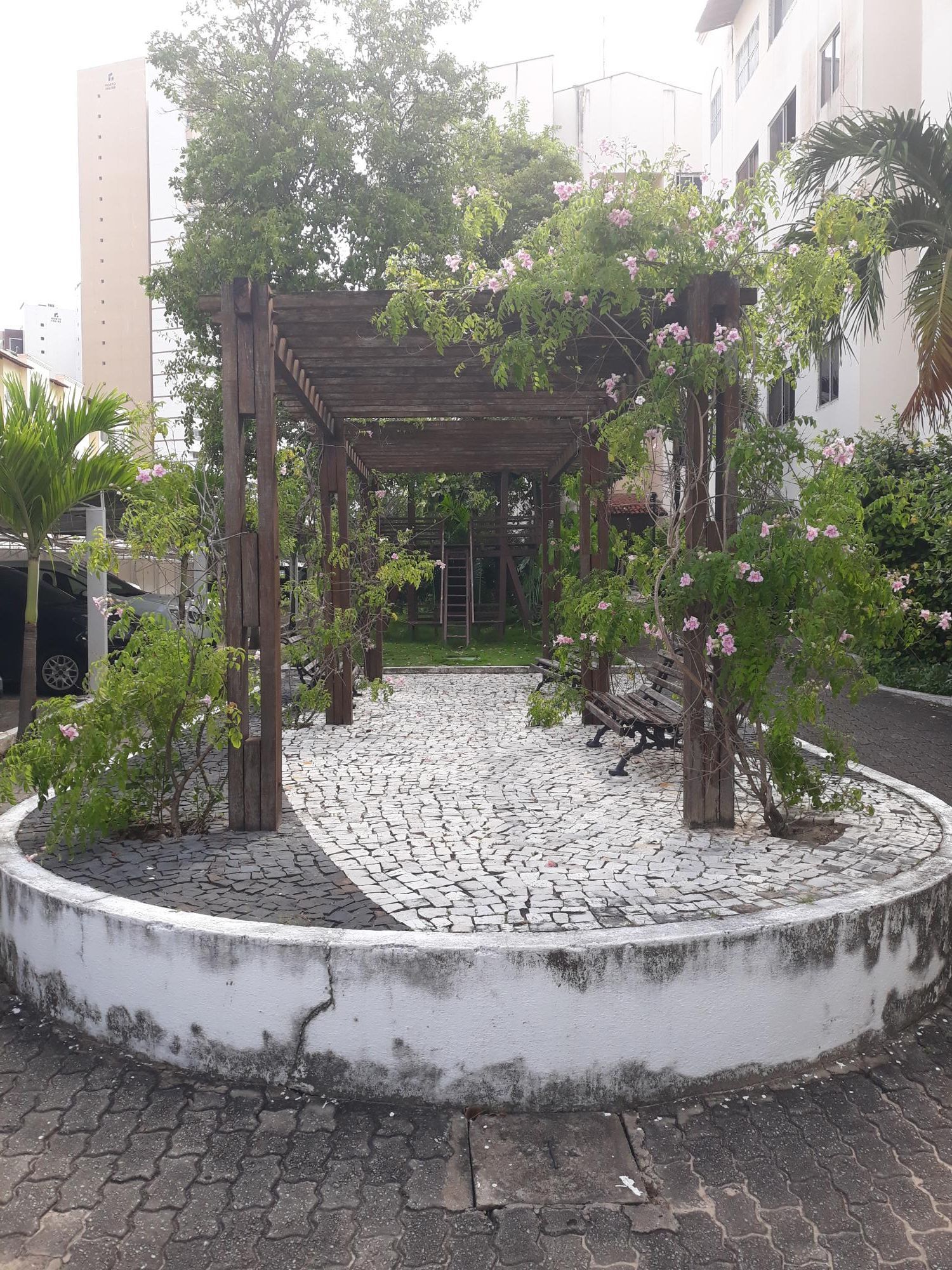 img142547840