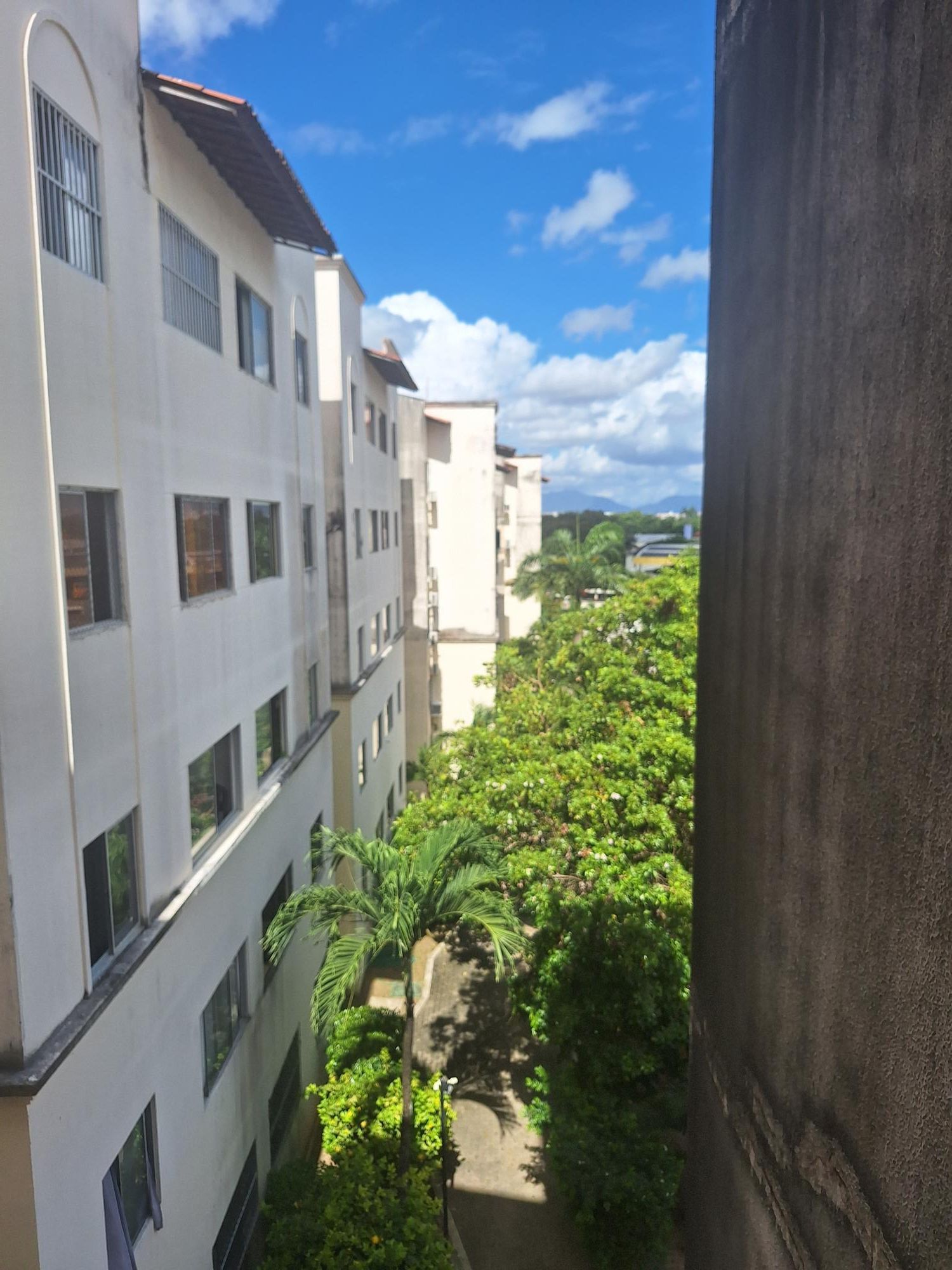 img142547879