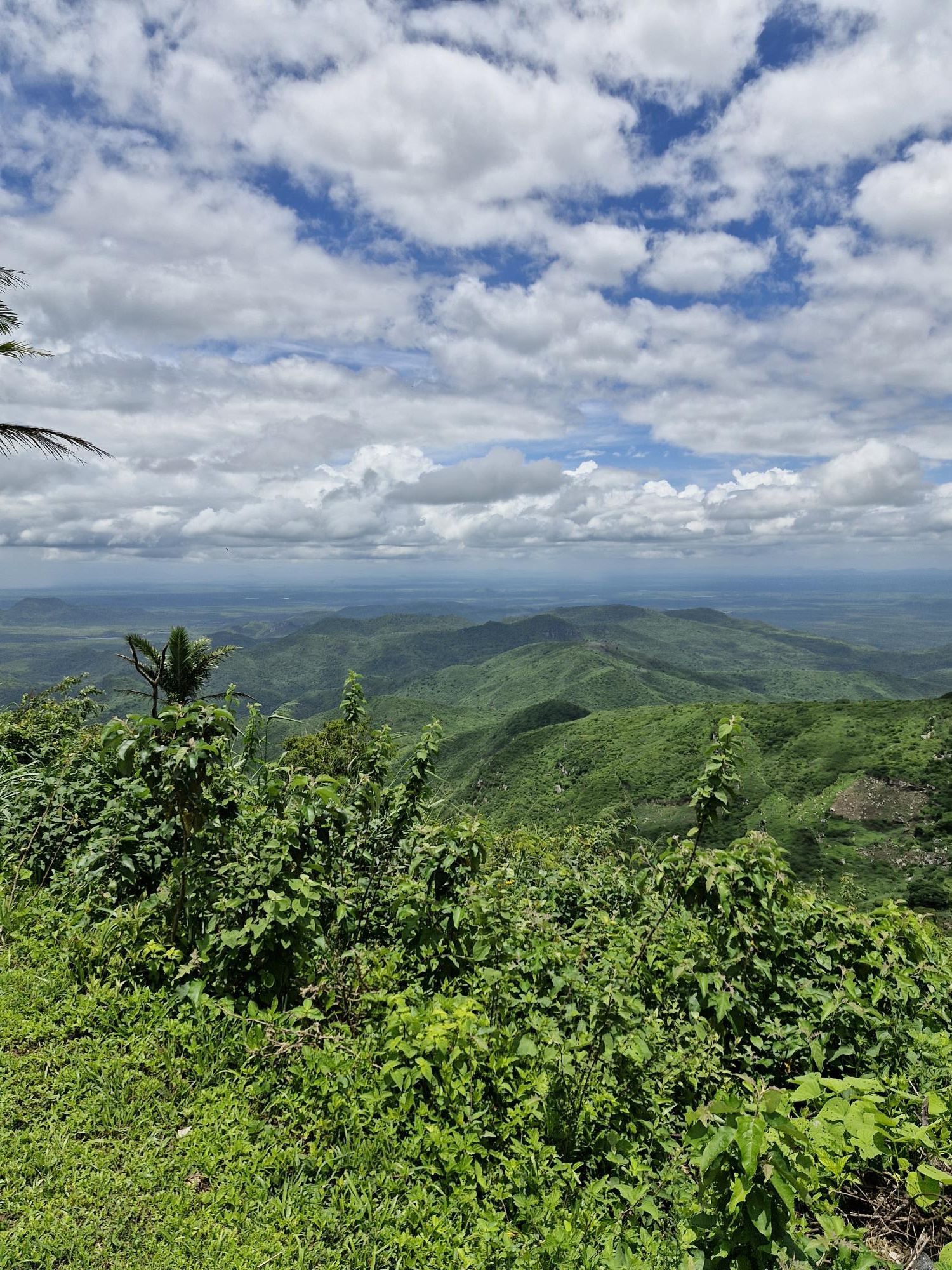Lote/Terreno de 50000m² no bairro Zona Rural, em Guaramiranga | Eu Corretor