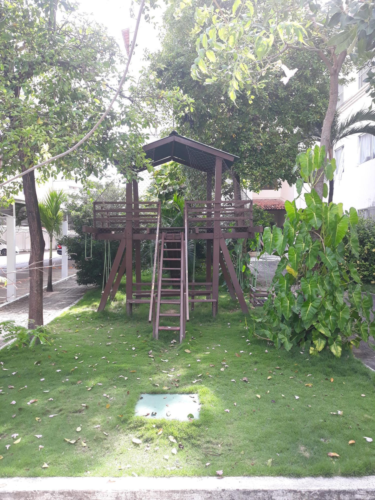 img142547871