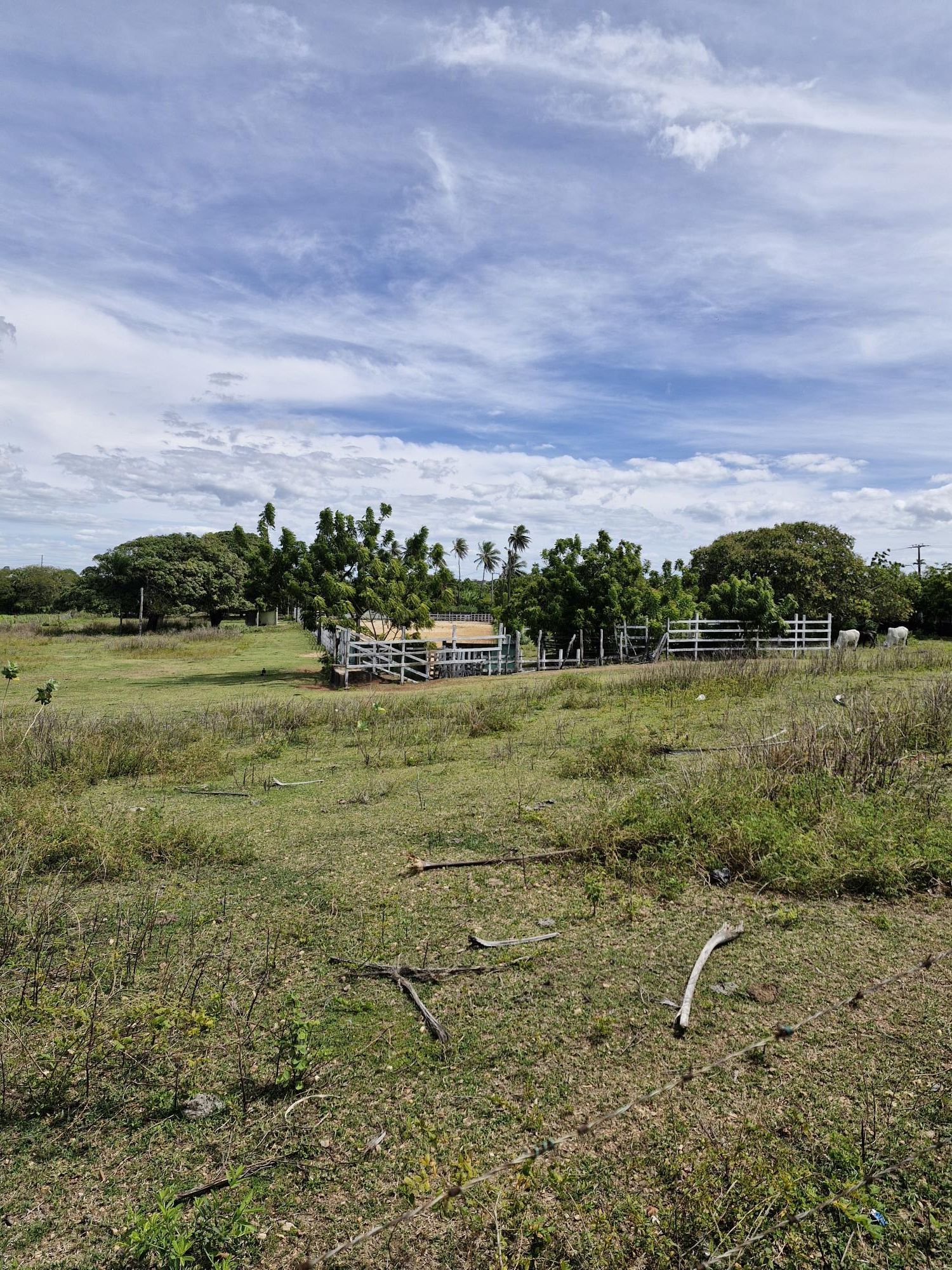 Lote/Terreno de 39000m² no bairro Lagoa Redonda, em Fortaleza | Eu Corretor