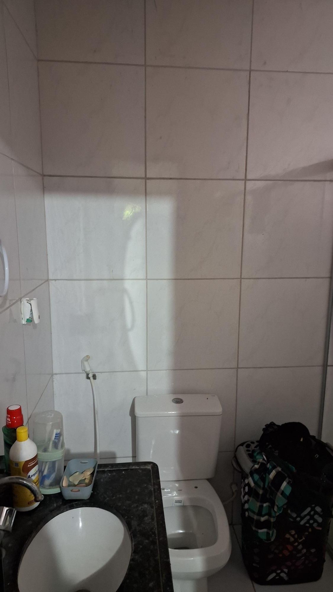 Casa, 4 quartos, 360 m² - Foto 9