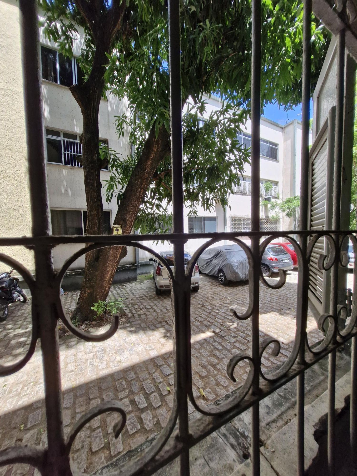 img189610782