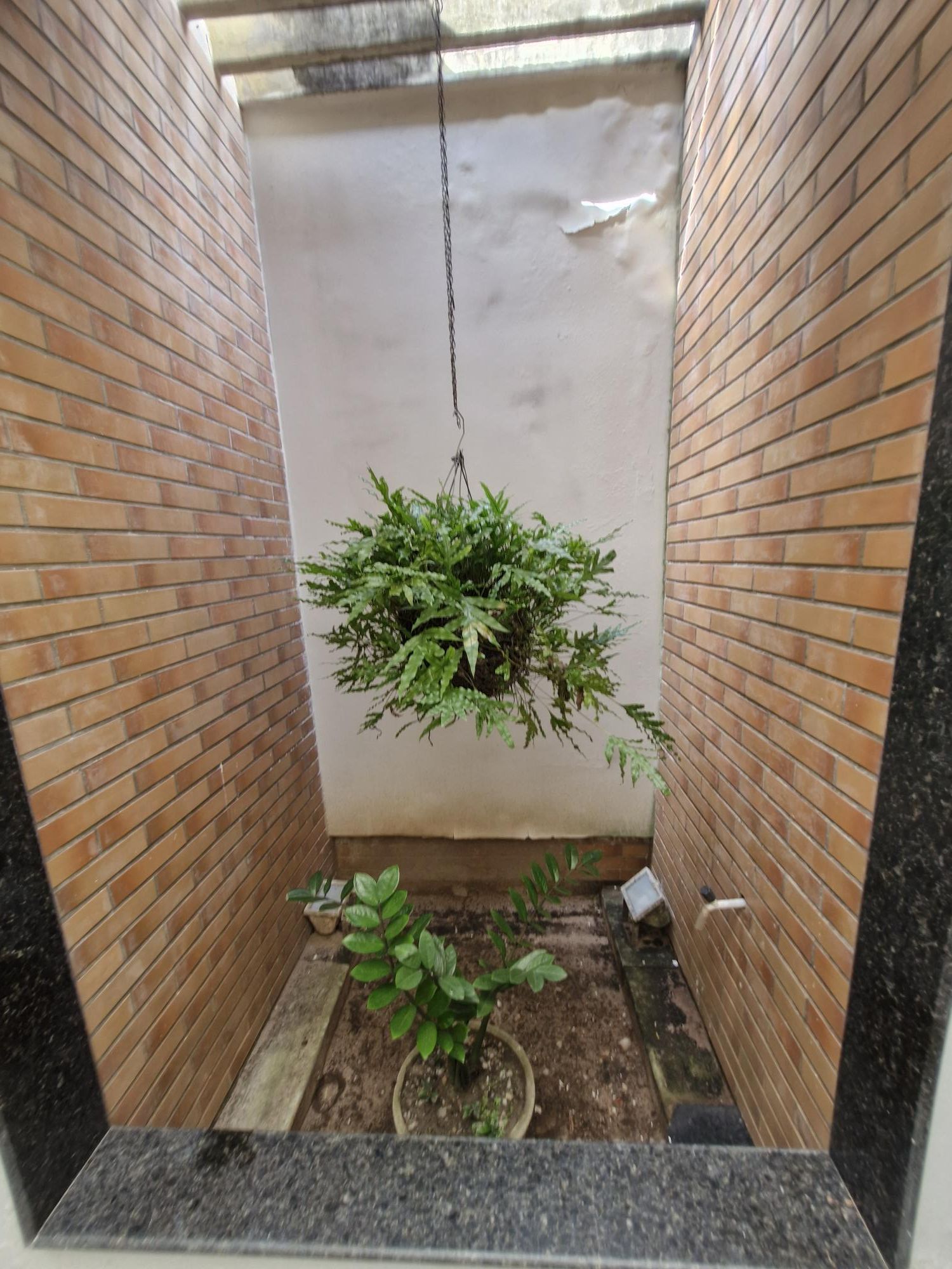 Loja-Salão à venda com 8 quartos, 400m² - Foto 13