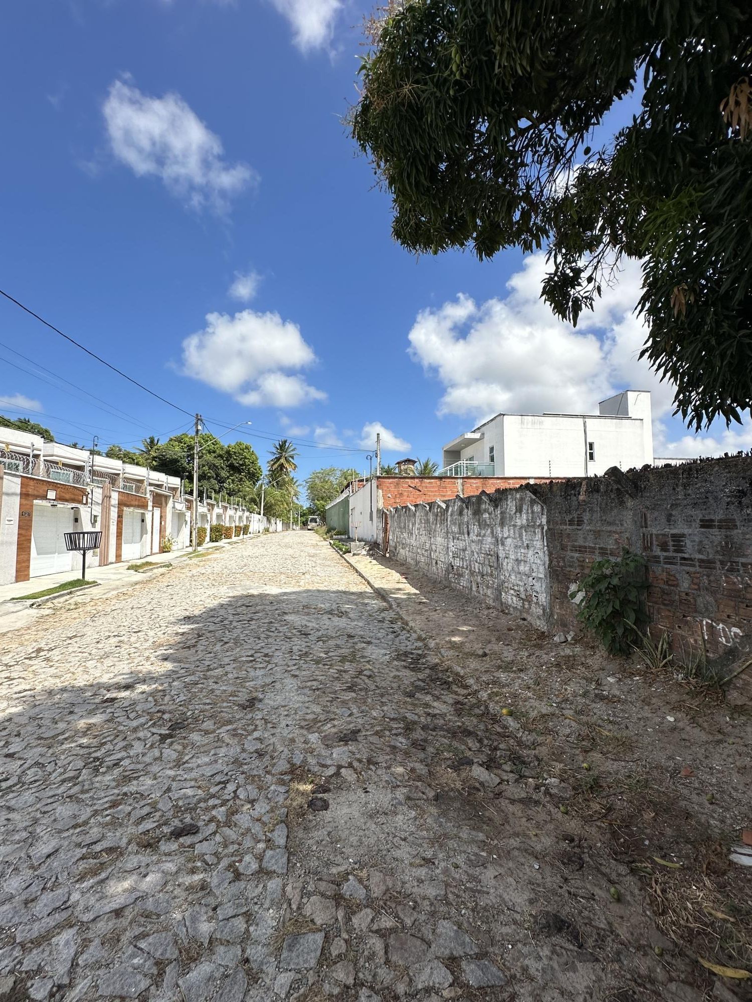 Terreno, 445 m² - Foto 3