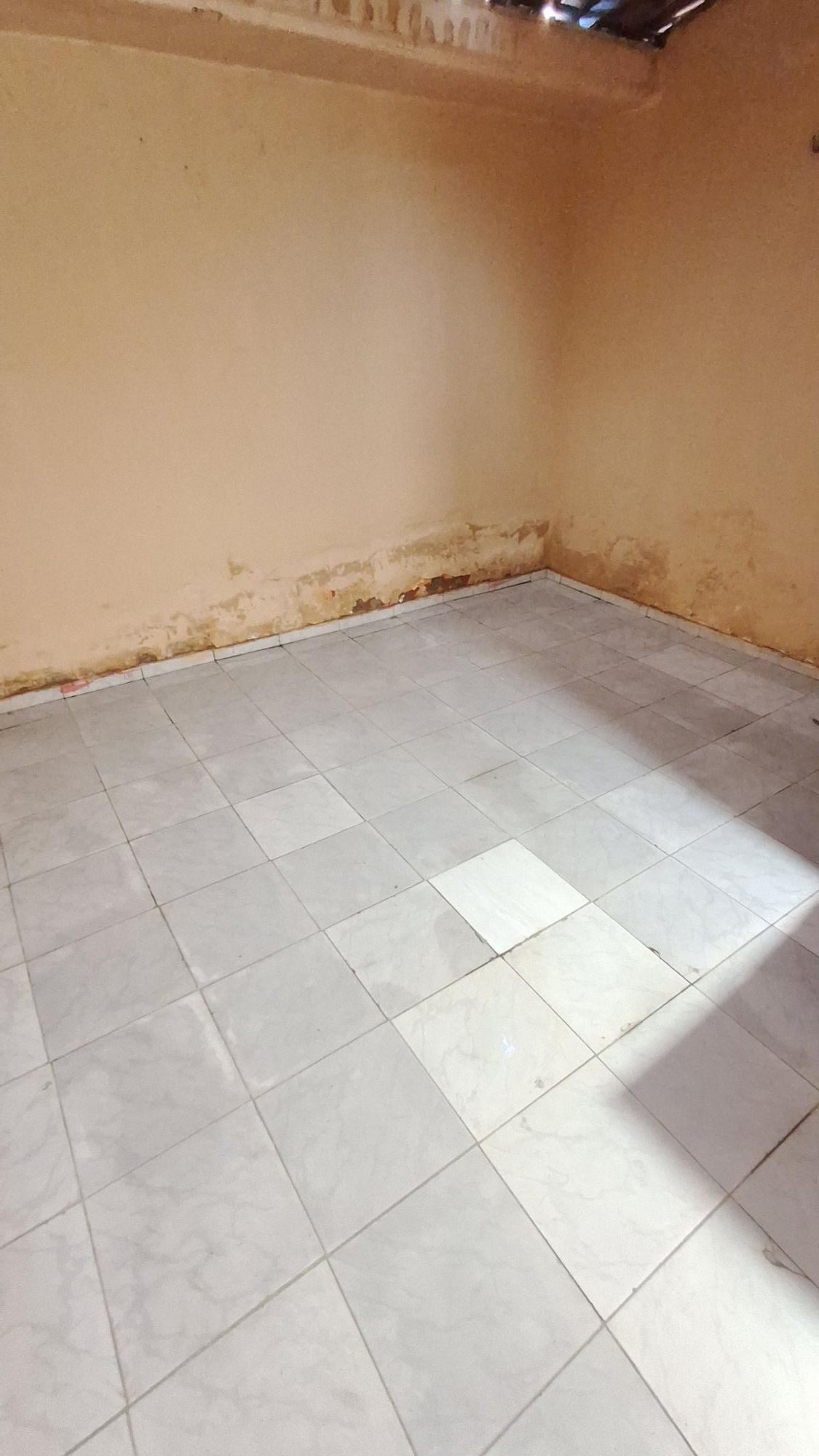 Casa, 1 quarto, 56 m² - Foto 25
